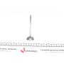 Клапан (впуск) Renault Clio/Kangoo/Twingo 1.2 96- (32.8x6x106.8) (вальцювання)