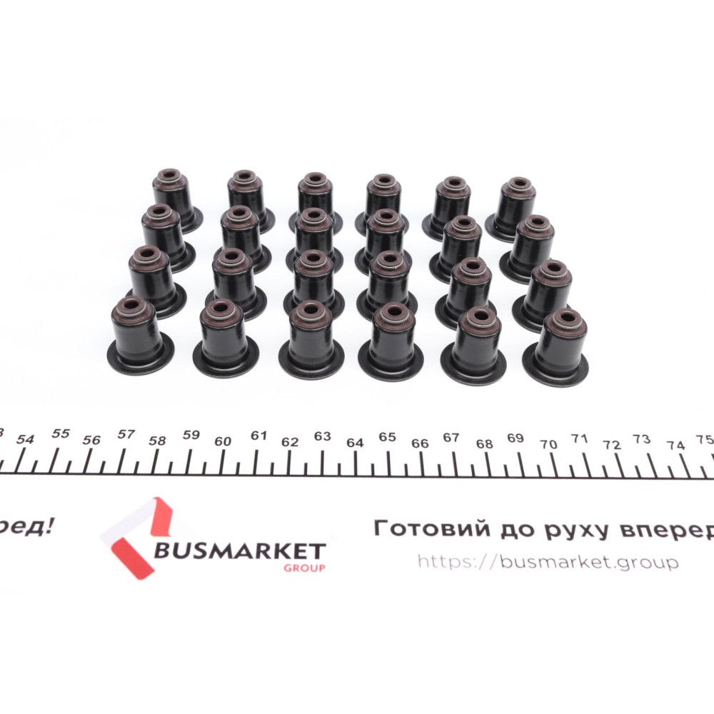 Сальник клапана (впуск/випуск) BMW 5 (E60)/6 (E63) 04-10 (к-кт), N52