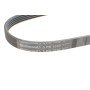 Ремінь генератора Mazda 323/626 1.8-2.0 97-02/Opel Astra G/Vectra B/C 2.0/2.2 00-08