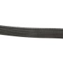 Ремінь генератора Audi/BMW/Chevrolet/MB/Opel (6PK1875)