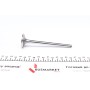 Клапан (впуск) Opel Astra F/G/Vectra A 1.6D/1.7D 82-00 (36x8x123.2) (вальцювання)