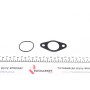 Прокладка клапана EGR MB Vito (W639)/E-class (E211) 2.2-3.2 CDI 02-