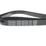Комплект ременя генератора Citroen Jumpy/Fiat Ducato/Peugeot Boxer 2.2HDi 06- (6PK1670)