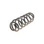 Пружина (задня) Skoda Superb II 1.4-2.0TSI/1.6-2.0TDI 08-15/VW Golf V 07-09