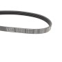 Ремінь генератора Ford Mondeo I/II 1.8TD 93-00 (5PK575)