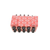 Болти головки (к-кт 10шт.) Audi A2/Seat Leon/VW Polo/Bora 1.6FSI 98-06