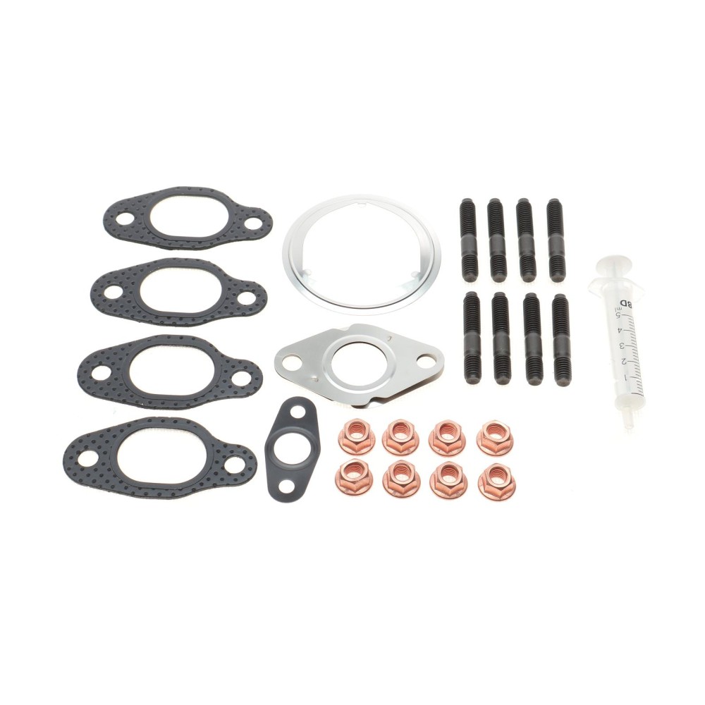 Комплект прокладок турбіни VW T5 1.9 TDI 03-09