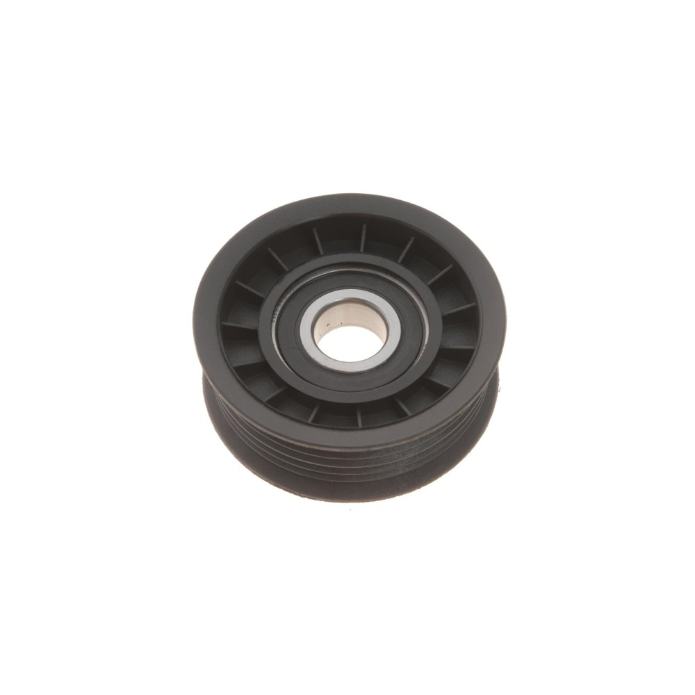 Ролик генератора Ford Transit Connect 1.8 16V 02-13 (паразитний)
