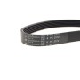 Ремінь генератора VW Passat 2.3 96-05 (6PK2372)