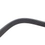 Ремінь генератора BMW 3 (E90)/Opel Movano 2.0i/2.5DTI 03-