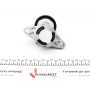 Комплект ременя генератора Renault Megane/Scenic 00-09, (5PK1750)