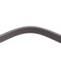 Ремінь генератора VW T4 2.5 90-03/Ford Fiesta/Mondeo 1.8/2.0 00-08/Jeep Cherokee 3.7 01-08