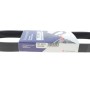 Ремінь генератора Seat Ibiza 15-/VW Polo 1.0/1.6 14-/Skoda Fabia 14- (6PK701)