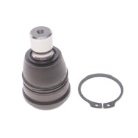 Опора кульова (передня/знизу) Ford Fiesta VI 1.0-1.6D 08- (зі стопорним кільцем)