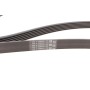 Ремінь генератора VW Golf IV/Passat 1.4/1.6FSI 03-16/Toyota Auris/Avensis 1.4-1.8 03-12