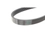 Ремінь генератора Jeep Wrangler 4.0 98-07/Toyota Avensis 1.6/1.8 00-03/Subaru Forester 13- (6PK1910)