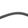 Ремінь генератора BMW 3 (E46)/5 (E39) 1.8D/2.0D 98-03 (5PK836) M47 D20