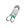 Ремінь генератора Mazda CX-7 2.2D 09-13 (8PK1295)
