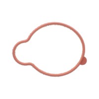 Прокладка колектора впускного Peugeot 306/406/605/806 2.0 94-01