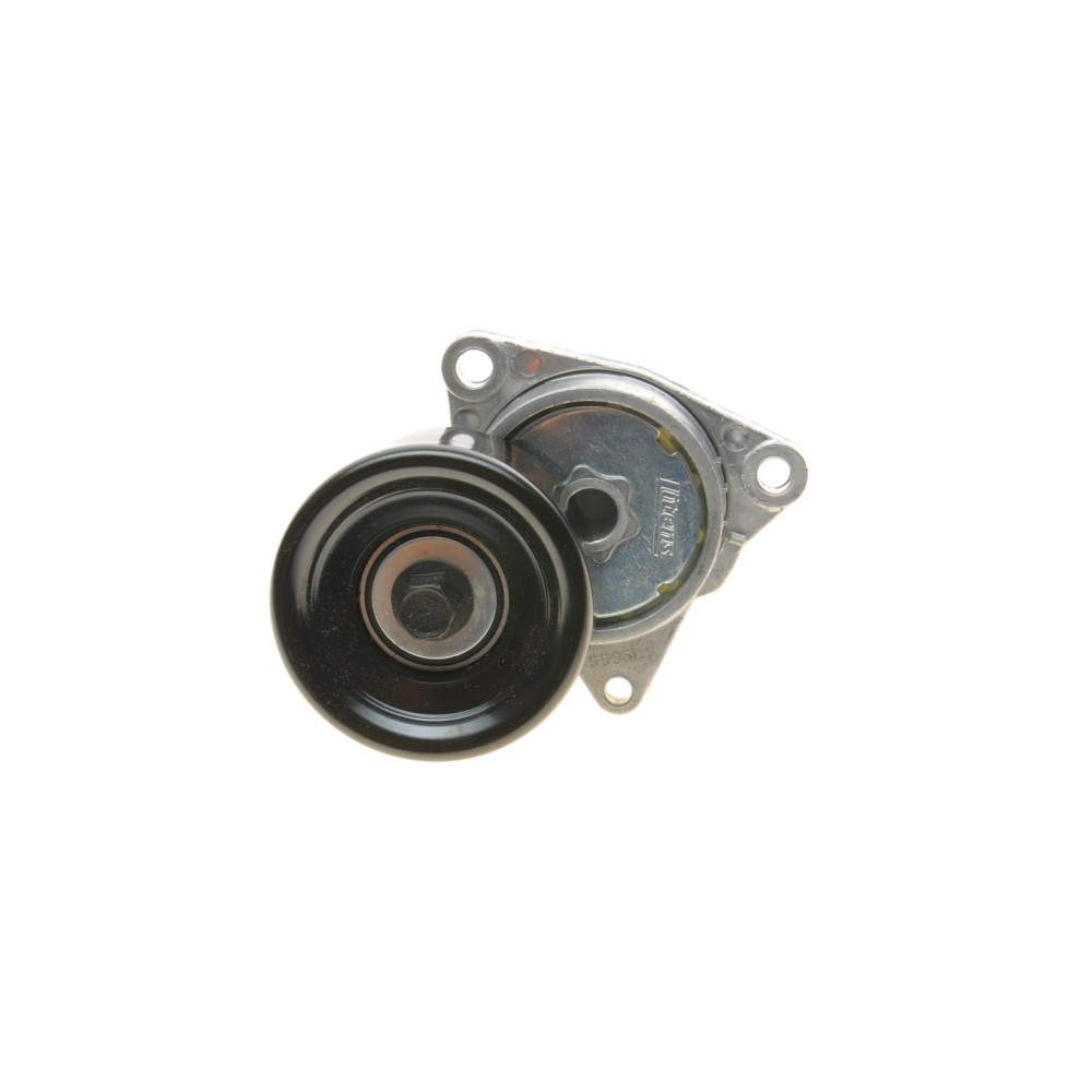 Натяжник ременя генератора Nissan X-Trail 2.0/2.5 01-13 /Renault Koleos 2.5 08-