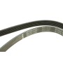 Ремінь генератора Ford Escort 1.4-1.8 92-00/Renault Laguna 1.8 93-01/VW Golf II/Passat B3/B4 88-97