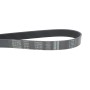 Ремінь генератора VW Touareg 4.2 V8 02-06 (7PK2365)