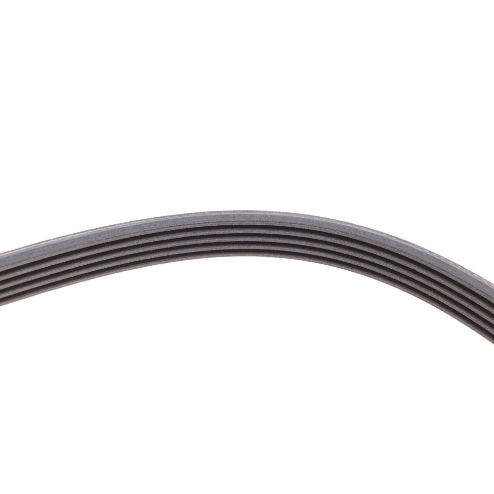 Ремінь генератора Opel Zafira/Astra 1.6/1.8 05-15/Fiat 1.6/1.8 05-/Chevrolet Orlando 1.8 11-