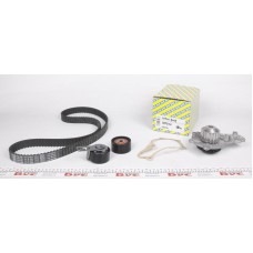Комплект ГРМ + помпа Citroen Berlingo/Jumpy 1.6HDI 10- (141/25/z141)