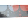 Прокладка ГБЦ BMW 3/5/7/X3/X5 2.5D/3.0D 01-10 (3 метки)(1.65mm) M57 D30