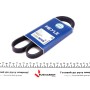 Ремінь генератора Fiat Ducato 2.5 D 94-02 (5PK1090)