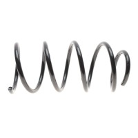 Пружина (передня) BMW X1 (E84) sDrive 18d/18i/20d/20i 09-15 N20/N47