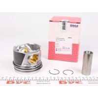 Поршень VW Caddy/Golf/Passat 2.0TDI 05- (81.01mm/STD)