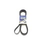 Ремінь генератора Land Rover Range Rover II 4.0i/4.6 94-02 (7PK2320)