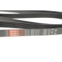 Ремінь генератора Jeep Cherokee/Liberty 2.5CRD/2.8 CRD 01-