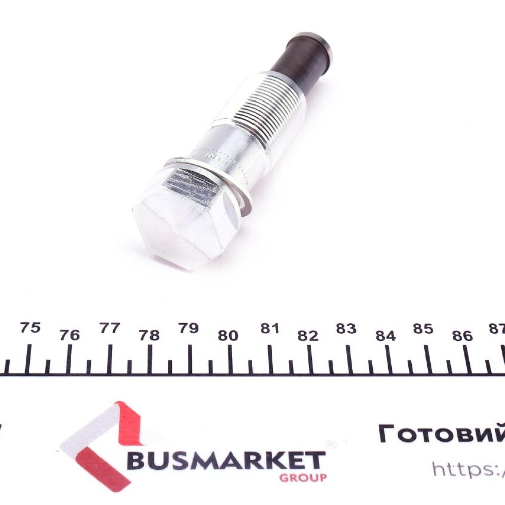 Натяжник ланцюга ГРМ BMW 3 (F30/F80)/5 (F10) 08- N47/N57