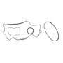 Ремінь генератора Citroen C3/C4/Peugeot 208/308 1.2 THP 13-