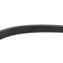 Ремінь генератора Peugeot Expert/Citroen Jumpy 2.0HDi 07-/Ford Focus/Kuga 2.0TDCi 04-12 (6PK1215)