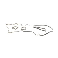 Прокладка кришки клапанів Ford Focus/Mondeo 2.0 ST/SCTi 10- (к-кт)