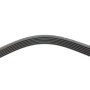 Ремінь генератора Ford Focus 1.8/2.0 04-12 (6PK1249)