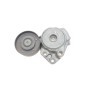Натяжник ременя генератора VW Bora/Golf/Skoda Octavia 1.4-1.6 96-05 (натяжний) (76x26)