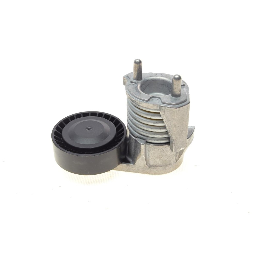 Натяжник ременя генератора Volvo C30/V40/S40/V50 07-