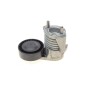 Натяжник ременя генератора Volvo C30/V40/S40/V50 07-
