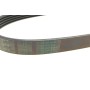 Ремінь генератора Toyota Camry 1.8-2.2 83-02/Rav4 2.0 94-00/Mazda 626 II 1.6/2.0 82-87