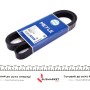 Ремінь генератора Honda CR-V 2.0 01-06/ Kia Sorento 2.5CRDI 02- (7PK1730)