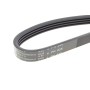 Ремінь генератора Fiat Fiorino 1.4/1.6i 93-01/Mitsubishi Galant 1.8/2.0 87-03/Toyota Hilux 2.4 97-05