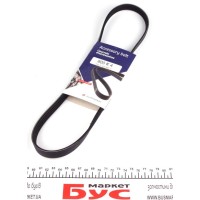 Ремінь генератора Honda Civic VI/Nissan Primera 1.4-1.6 16V 94-01 (4PK800)