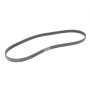 Ремінь генератора Ford Focus/Mondeo 2.0TDCi 14-/Fiat Bravo/Stilo 1.8/1.9D 07-