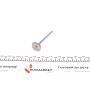 Клапан (впуск) Renault Kangoo/Clio/Dacia Logan 1.2 16V (26x5.5x110.9) (азотування)
