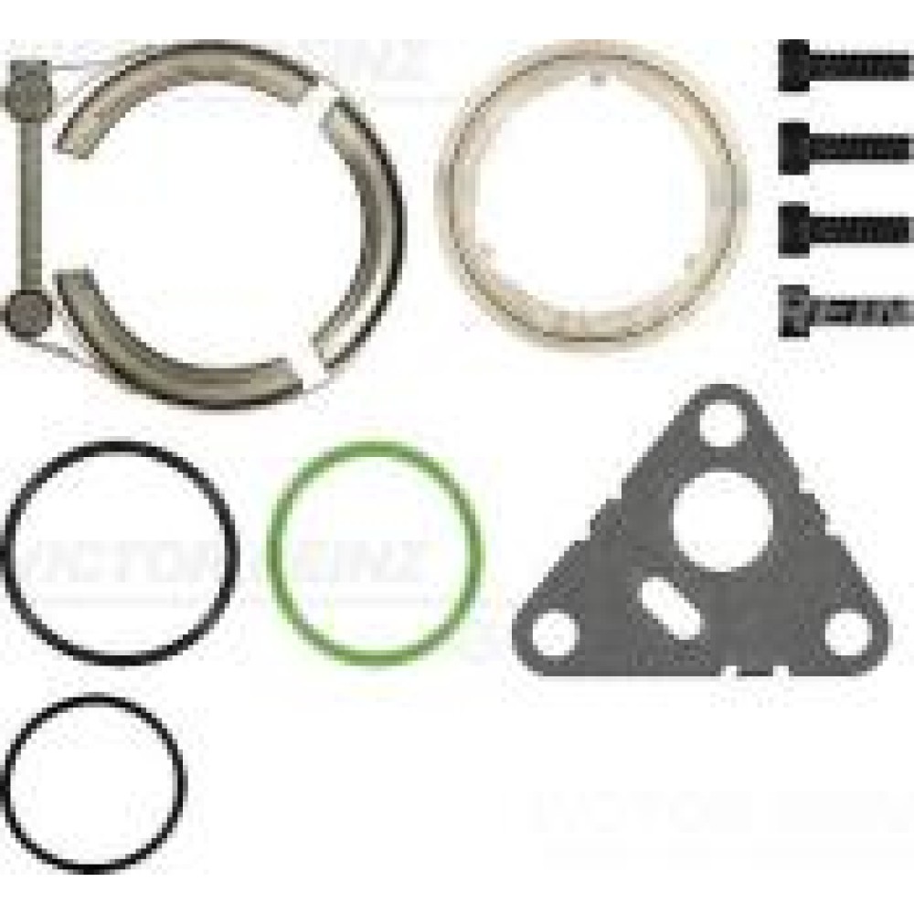 Комплект прокладок турбіни VW T5 2.5TDI 03-09 (96-128kw) AXD/BLJ