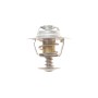 Термостат Ford Transit Courier/Fiesta/Focus/Mondeo 1.0/1.1 14- (92°C)